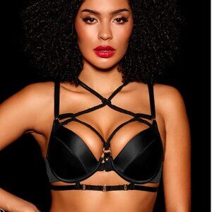 NWOT Honey Birdette Shibari Bondage Push Up Bra